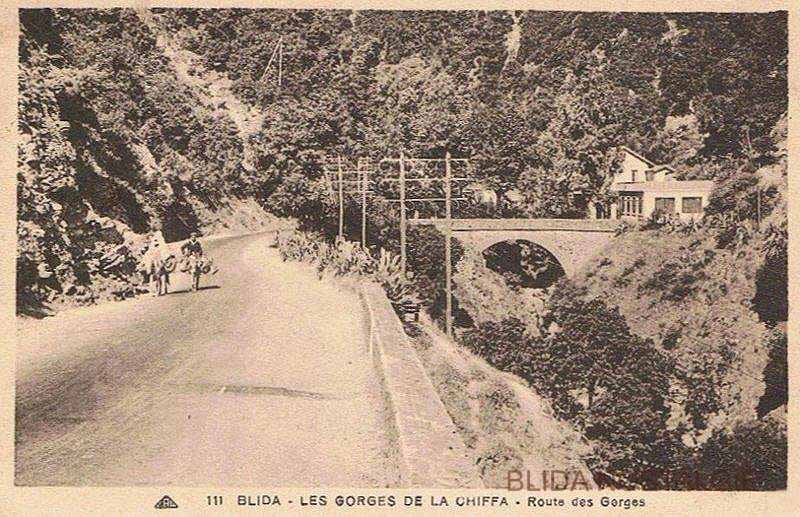 Blida - Gorges de la Chiffa -route des gorges.jpg